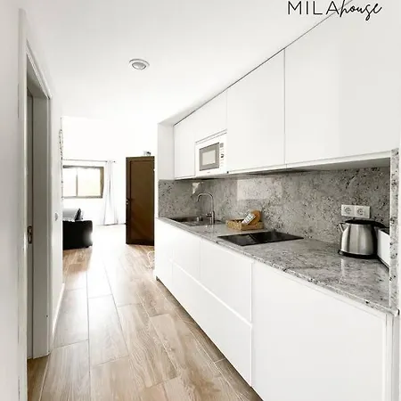 דירה Mila House *